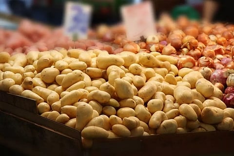 തമിഴ്നാട് അതിര്ത്തി അടച്ചു; ചരക്കുനീക്കം ആശങ്കയില്: അവശ്യവസ്തുക്കള്ക്ക് കടുത്ത ക്ഷാമം വന്നേക്കില്ല