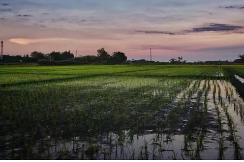 കേരളത്തിനു നികുതി വിഹിതം ബജറ്റിലൂടെ 15236.64 കോടി