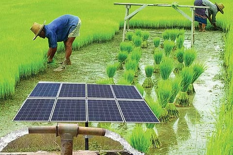 ബജറ്റ് 2020 കാര്ഷിക മേഖലയുടെ പ്രശ്നങ്ങള് പരിഹാരമാകുമോ?