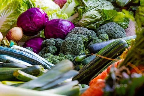 കാലിക്കറ്റ് യൂണിവേഴ്സിറ്റിയില് ടെസ്റ്റിംഗ് ലാബ് എന്നു വരും? കയറ്റുമതി മേഖല കാത്തിരിക്കുന്നു