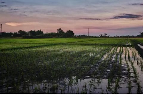 കണ്ണീര്ക്കയത്തില് ഇന്ന് കര്ഷകദിനം