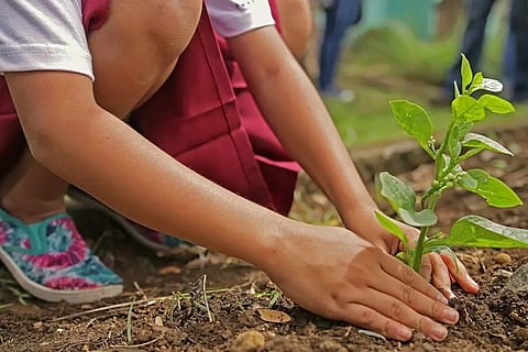 കമ്പനികള് സിഎസ്ആര് ഫണ്ട് ചെലവാക്കിയില്ലെങ്കില് കേന്ദ്രഫണ്ടിലേക്ക് നല്കണം