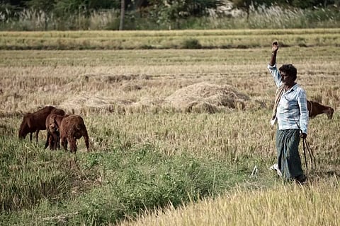 ബജറ്റ് 2019: കര്ഷകർക്ക് പണം നേരിട്ട് ബാങ്കിലേക്ക്