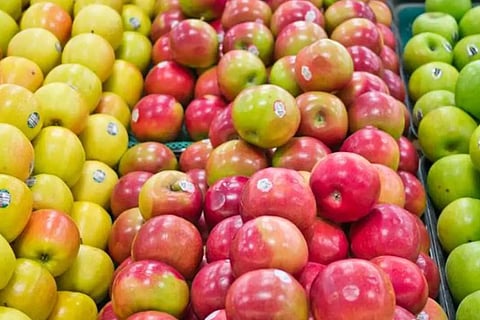 പഴങ്ങളിലും പച്ചക്കറികളിലും സ്റ്റിക്കർ ഉപയോഗിക്കരുതെന്ന് ഭക്ഷ്യസുരക്ഷാ അതോറിറ്റി