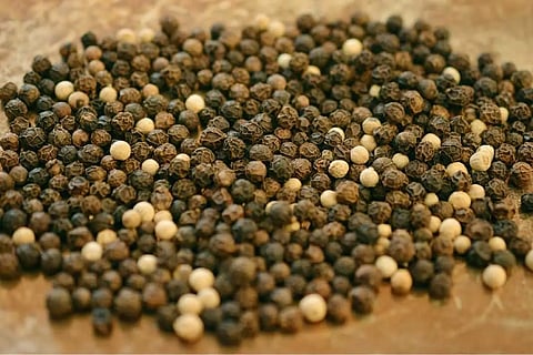 വിയറ്റ്നാം സ്വദേശിയായ ഈ ശ്രീലങ്കൻ കുരുമുളകിനെ സൂക്ഷിക്കണം