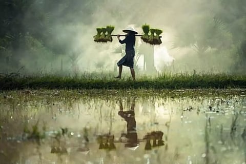 അഗ്രിപ്രണറാകൂ! കൃഷിയിലൂടെയും ലാഭം ഉറപ്പാക്കാം