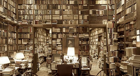 The Dharma Dispatch Reading List to Kickstart Your 2019