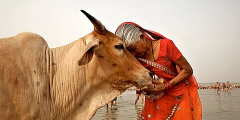 In Search of the Dangerous Hindu in a World of Monotheistic Cultural Aggression