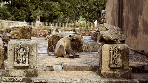 The Contours of an India Before the Assault of Nehruvian Secularism