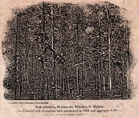 The Gruesome Murder of Mr. Conolly: The Mapilla Retribution