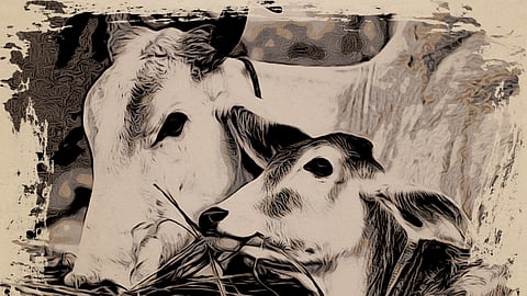 The Profound Sanatana Storytelling Tradition on the Edge of Extinction: An Introduction to Our Grandmothers