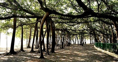 The Dharma Dispatch Turns Three: Our Sanatana Civilizational Journey So Far