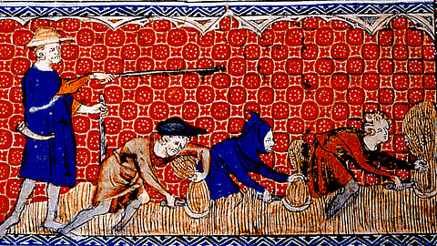 The West has a Caste System and this is Just the Latest Proof