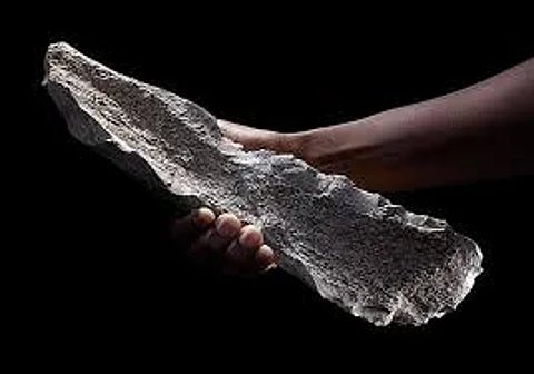 Tools made from animal bones show ingenuity of human ancestors