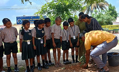 Parents, students unite for green cause at Rotary Midtown Academy