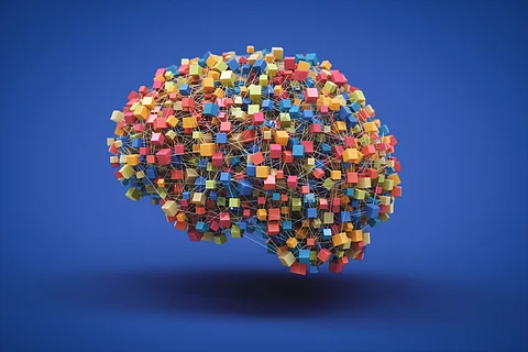 What’s inside an AI brain?