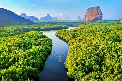 Why does the Amazon River have no bridges?