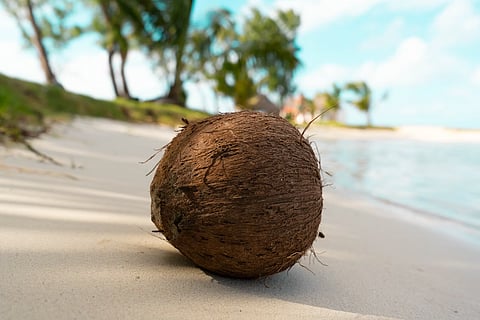 Mighty Coconut