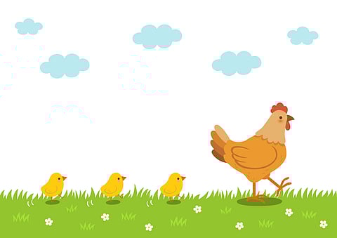 Peck through these chicken expressions