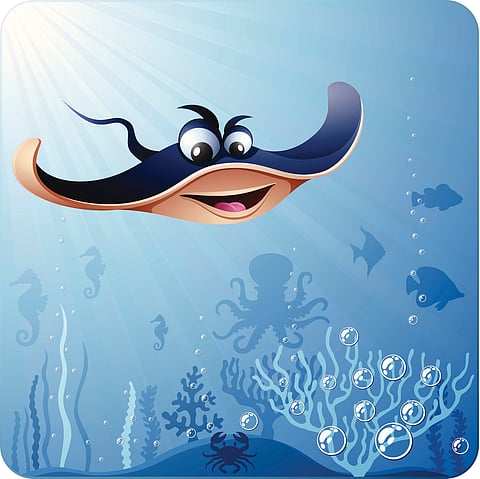 Mystery of Manta Rays