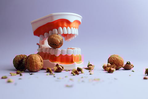 How does chewing affect memory and focus?