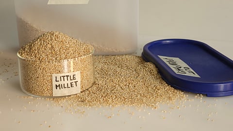 Phosphorus: The energy mineral your body can’t live without