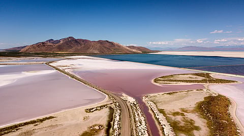 How can salt lakes in Utah turn bubblegum pink?