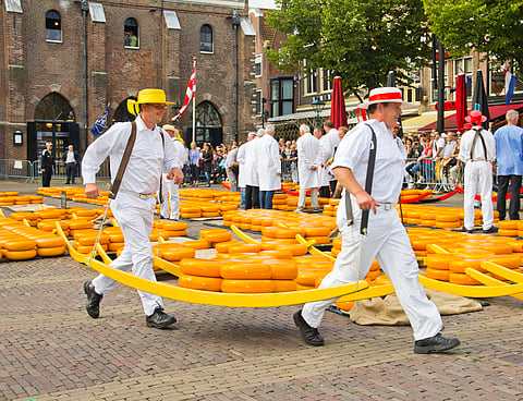 Why does this town in the Netherlands smell like cheese all day?