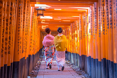 Why does a street in Japan look like a tunnel of red gates?