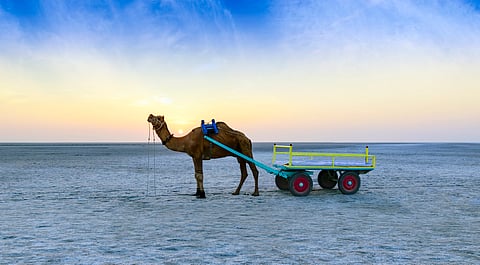 The mystery of India’s salt plains