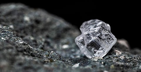 Botswana Rethinks HB Antwerp Investment Amid Political Shift