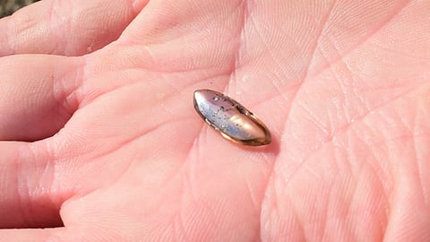 Oklahoma Family Unearths 2.79-Carat Diamond at Arkansas’ Crater of Diamonds State Park
