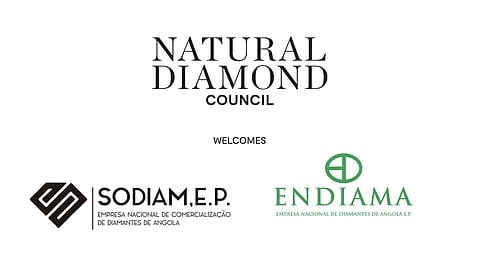 ENDIAMA E.P. and SODIAM E.P. join Natural Diamond Council