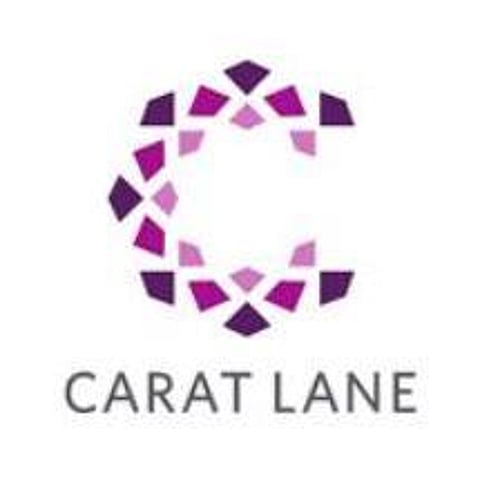 CaratLane launches 3D Virtual jewellery try-on app