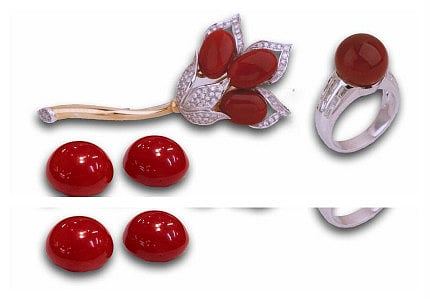 CIBJO releases Blue Book for the Coral industry