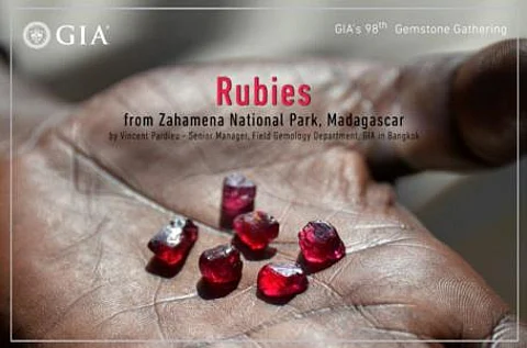 Rubies from Zahamena National Park, Madagascar