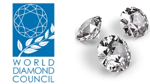 Dubai is the venue for WDC's 13th AGM