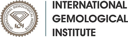 IGI Opens Its Latest Laboratory and School in Bangalore