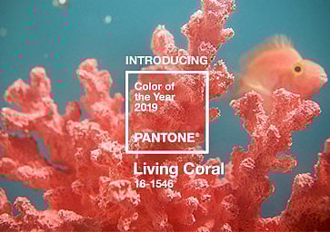 Pantone’s Colour of the Year is ‘Living Coral’