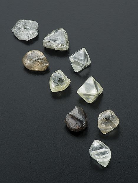 Diamond Companies cease rough Import to stabilize prices of polished diamonds