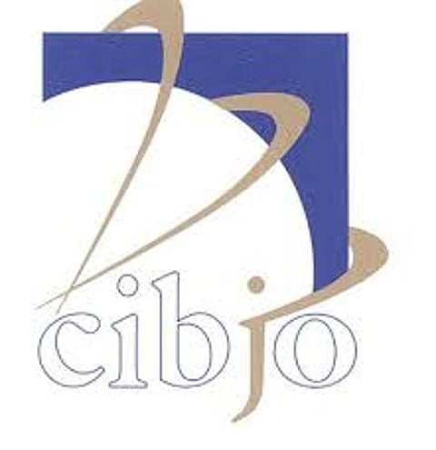 CIBJO describes as ground-breaking the publication of ISO 24106, first internationally recognised diamond-grading standard