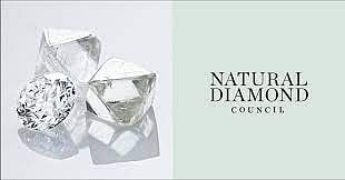 Natural Diamond Council To Launch The First Of Its Bi-Annual ‘Fashion Of Diamonds: Trend Report’ In India At Fdci X Lakmé Fashion Week