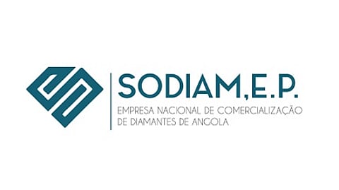 Sodiam's rough tender yields $19.5 million