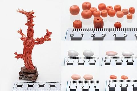 A selection of precious coral samples (with centimetre scales) seized by Swiss customs and whose species were identified using the new forensically validated Coral-ID method. Picture courtesy SSEF