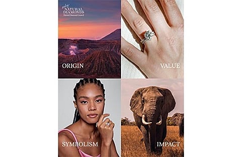 NDC Launches Education Partner Program to Drive Sales