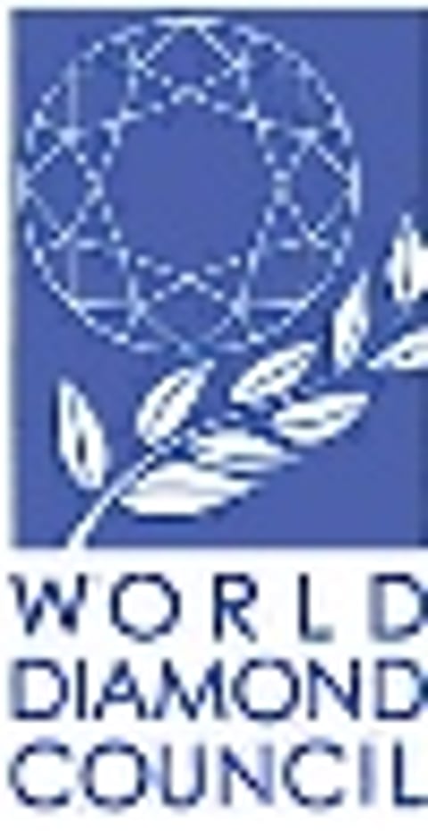 WDC full membership approves amendments to organisational bylaws