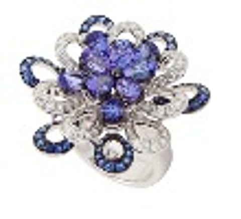 Anmol Jewellers launches The ‘Allure of Tanzanite’