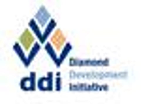 DDI partners with Promines