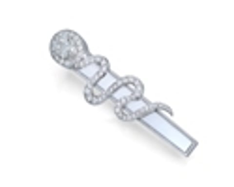 Varuna D Jani launches collection of tie-pins