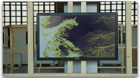 PPDS Declares The Winners of Inaugural ‘MUSE Digital Art Award’